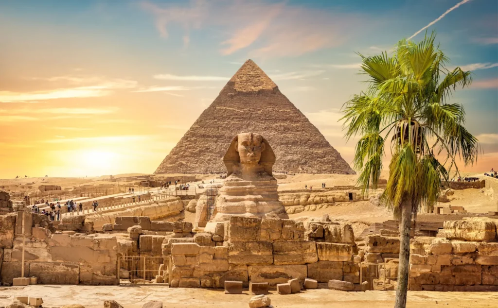 a lonely tree with the sphinx and pyramids of giza sharm blue excursions