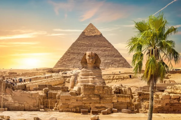 a lonely tree with the sphinx and pyramids of giza sharm blue excursions