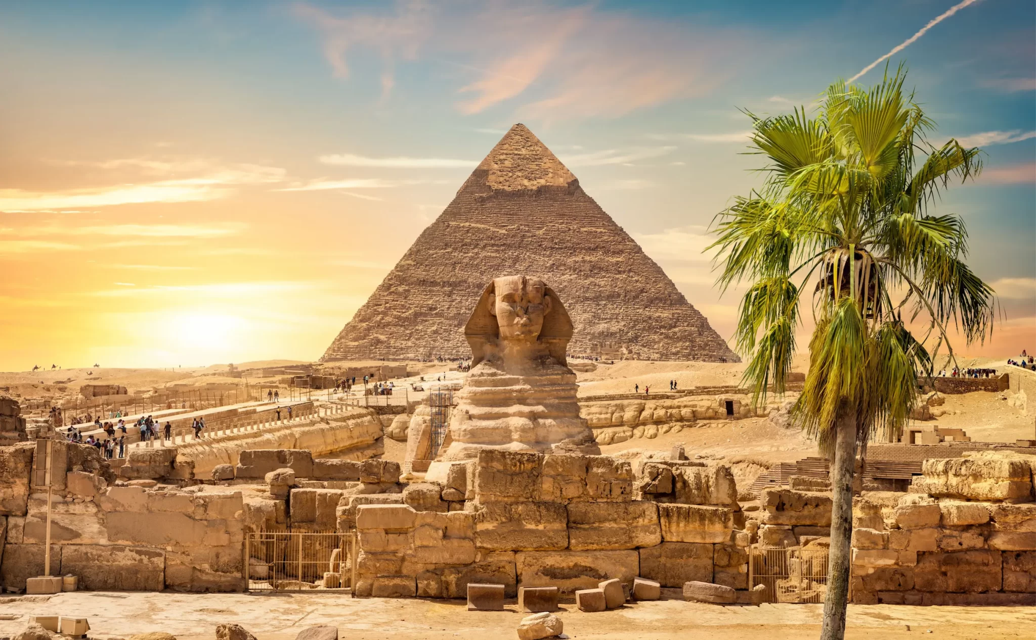 a lonely tree with the sphinx and pyramids of giza sharm blue excursions