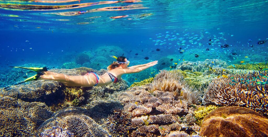 Snorkeler swimming above vibrant coral reef in Sharm El Sheikh's Red Sea, surrounded by schools of tropical fish and colourful corals
