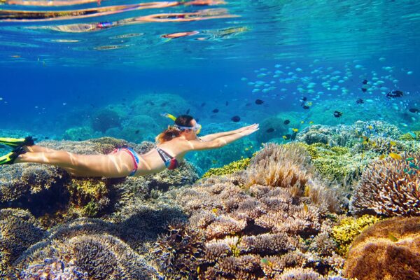 Snorkeler swimming above vibrant coral reef in Sharm El Sheikh's Red Sea, surrounded by schools of tropical fish and colourful corals