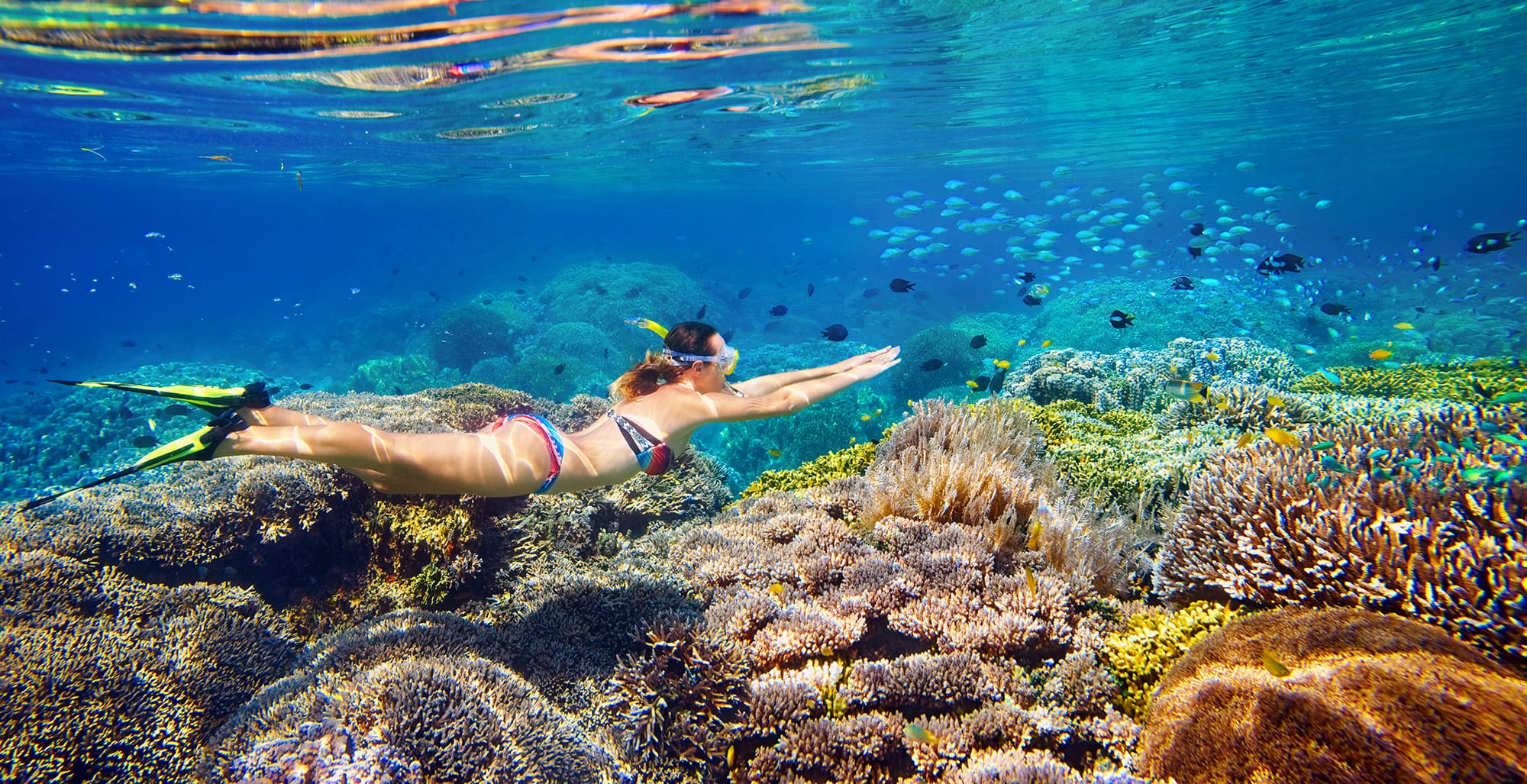 Snorkeler swimming above vibrant coral reef in Sharm El Sheikh's Red Sea, surrounded by schools of tropical fish and colourful corals